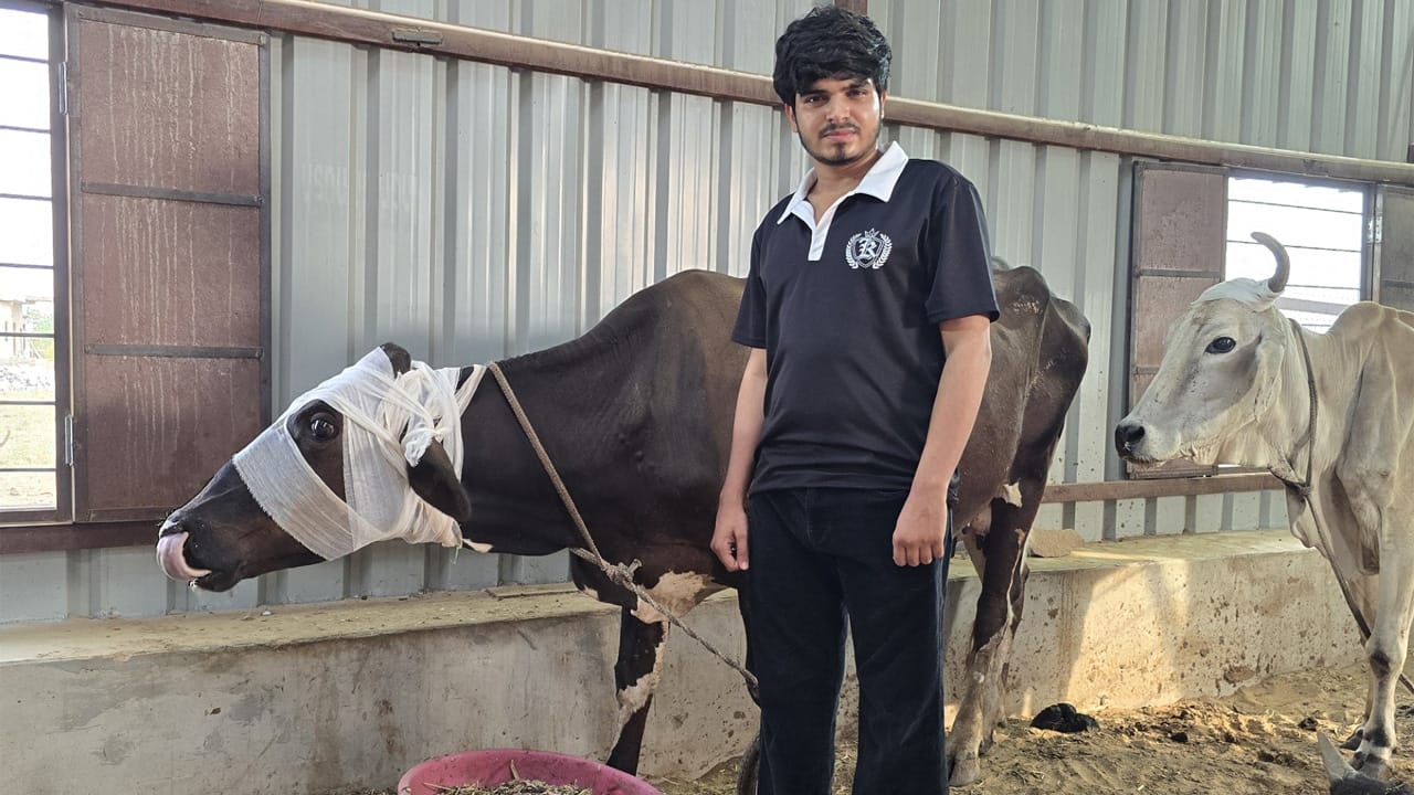 Ronak Choudhary: From popular creator to advocate of gau seva and animal welfare in Rajasthan