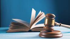 Prior approval for use of IPO logo necessary: DPIIT