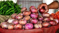 Retail inflation climbs to 4.82% YoY in August