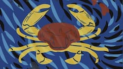 Horoscope, September 27: Cancer, balance compassion with practicality today