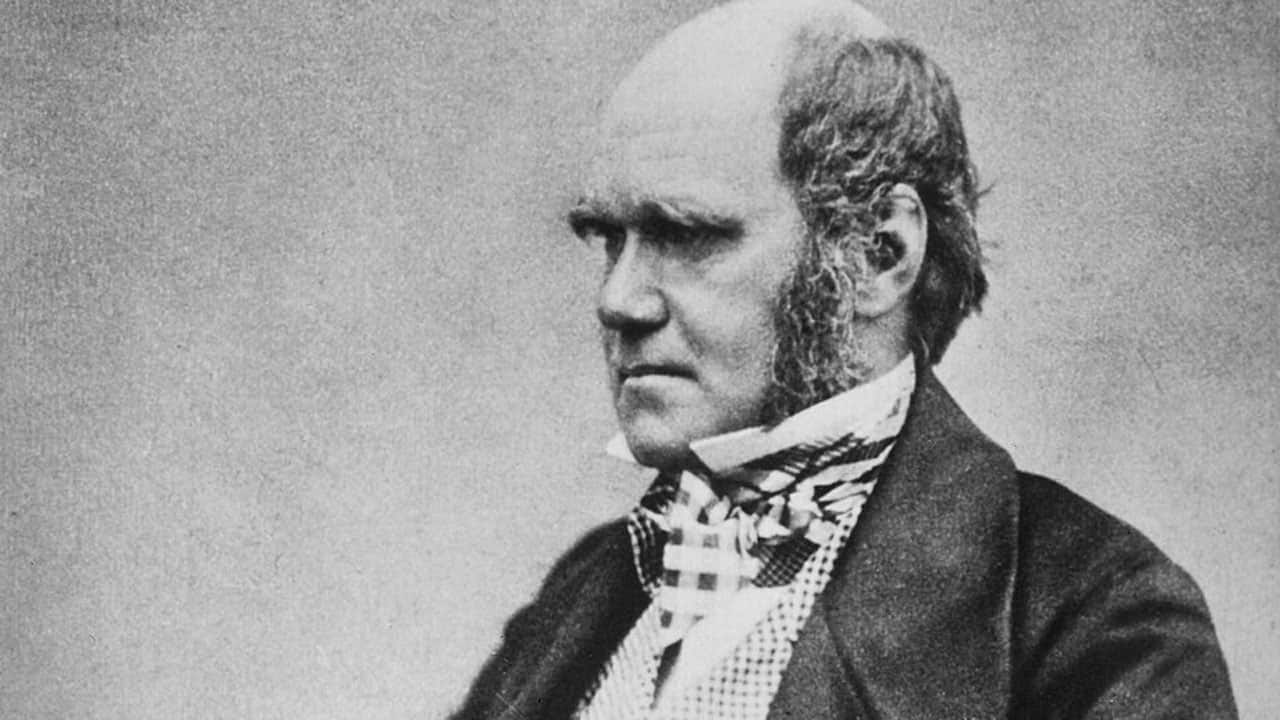 Quote of the day by Charles Darwin: 'The highest possible stage in moral culture is...'