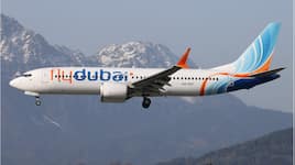 Flydubai co-pilot allegedly planned to crash plane into Tel Aviv skyscraper, engine shutdown suspected: Report