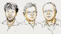 2026 Nobel Prize in Medicine awarded to trio behind optogenetics, transforming brain research