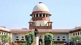 No blanket firecracker ban: Supreme Court leans towards balanced approach