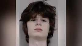 19-year-old US man arrested for plotting mass shooting at Hindu temple in Illinois; holds white supremacist views 