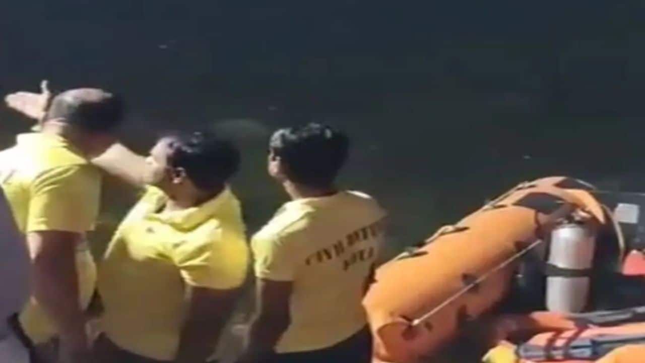 Rajasthan: Four missing after boat capsizes during Durga idol immersion in Kota
