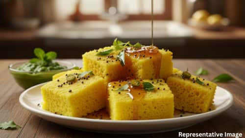 Dhokla — The Gujarati Delight