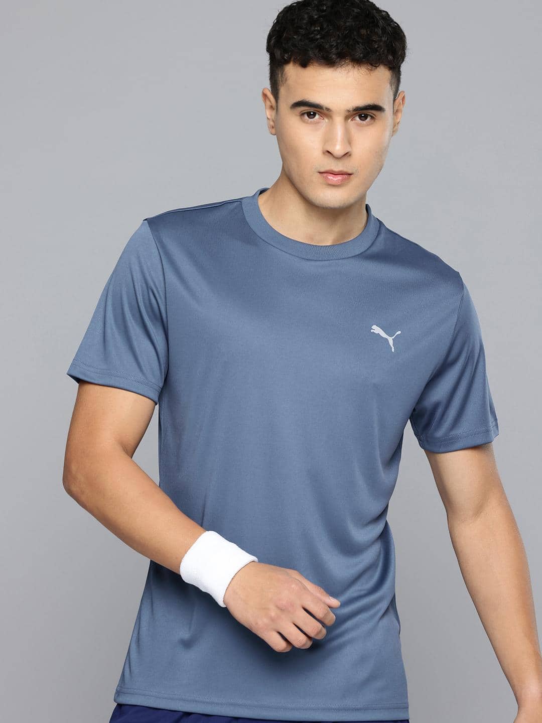 puma puma