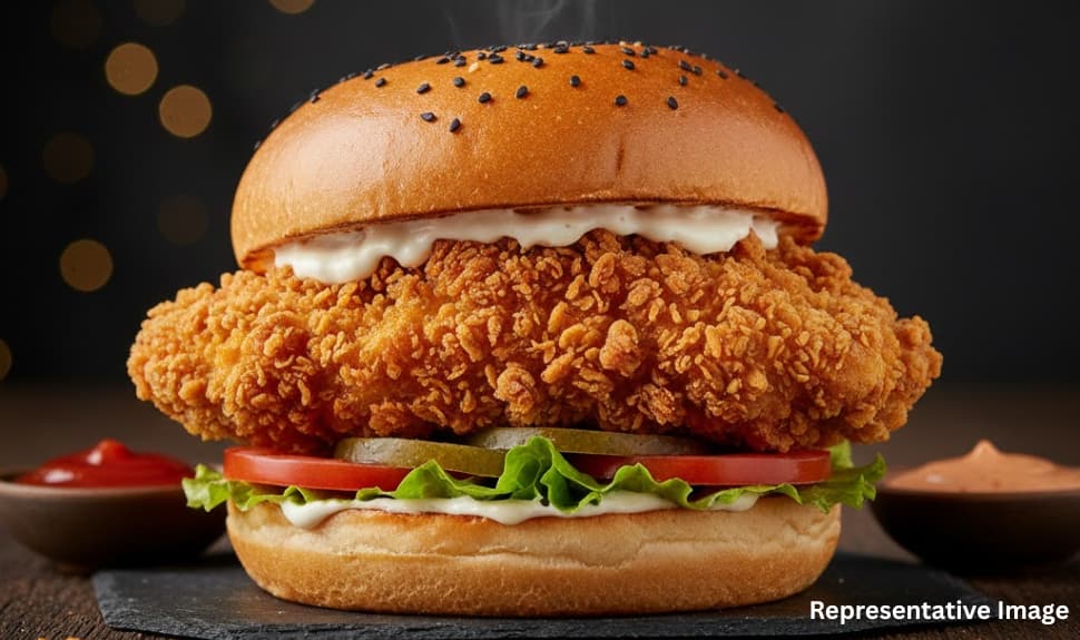 Crispy Chicken Burger