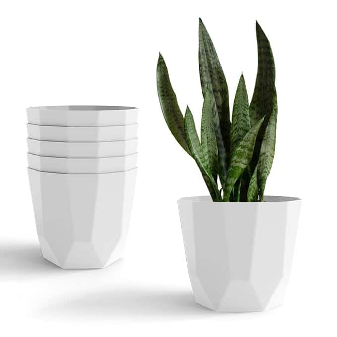 Yuccabe Italia Shera Plant Pots Yuccabe Italia Shera Plant Pots