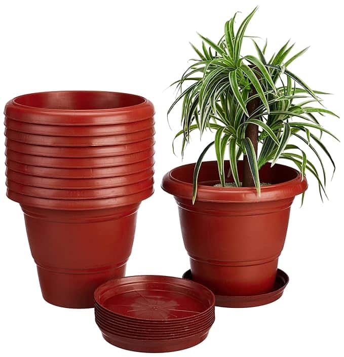 Solimo Round Pots With Tray Solimo Round Pots With Tray