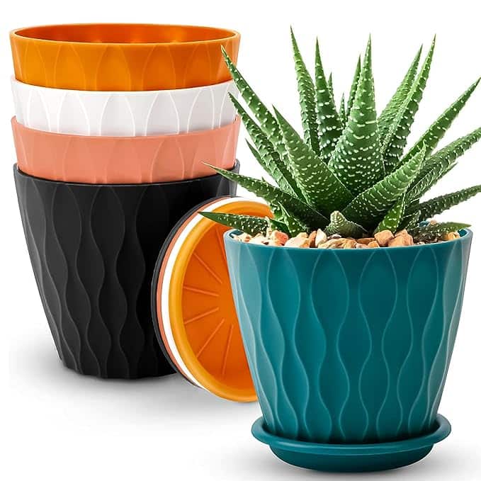 Eightiz Multicolour Flower Pots Eightiz Multicolour Flower Pots