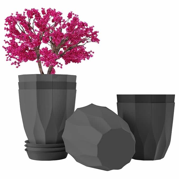 JD Fresh Plastic Pots With Tray JD Fresh Plastic Pots With Tray