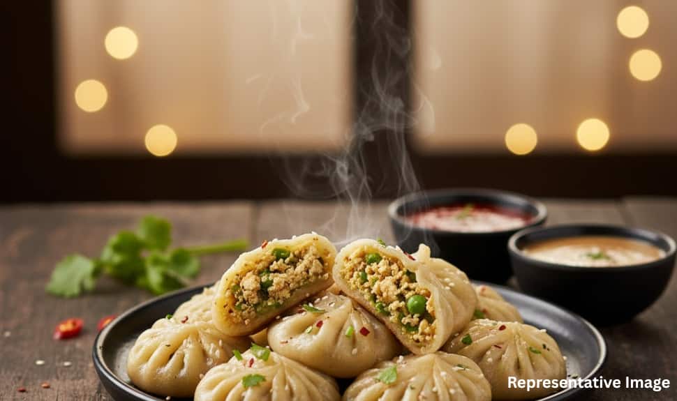 Paneer Momos Paneer Momos