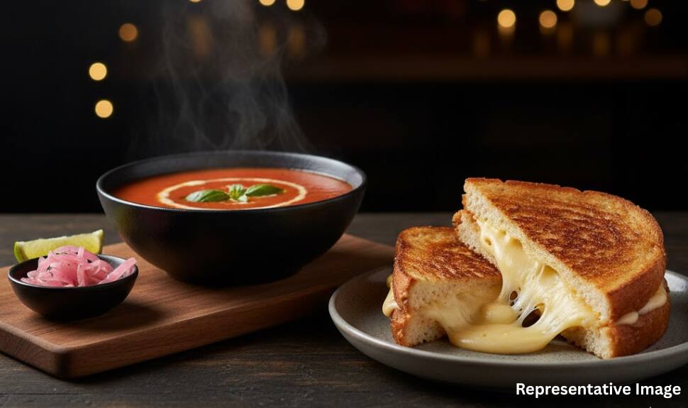 Grilled Cheese Sandwich &amp; Tomato Soup Combo