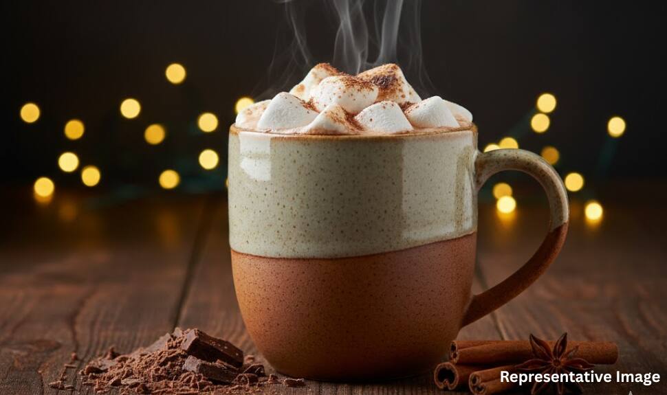 Hot Chocolate with Marshmallows Hot Chocolate with Marshmallows