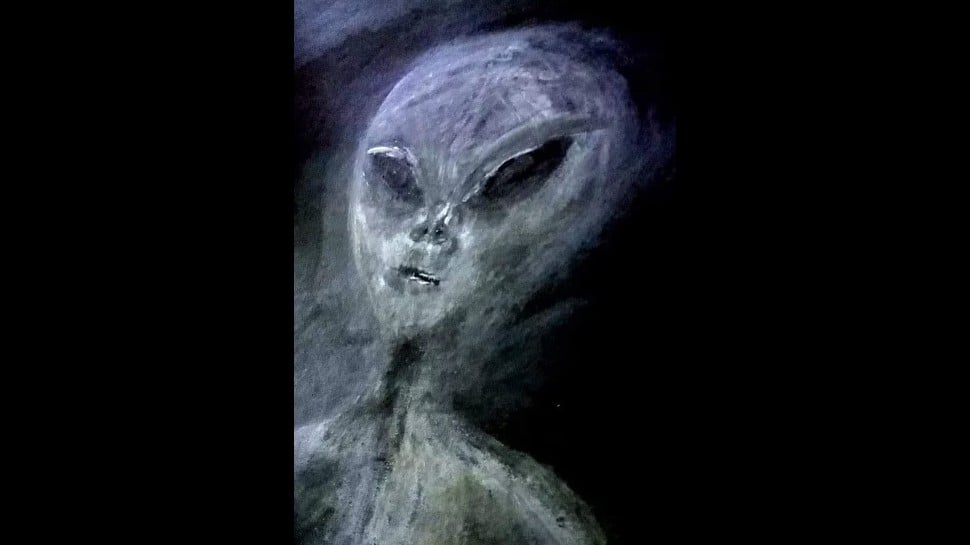 Woman&#039;s representation of the alien she has seen