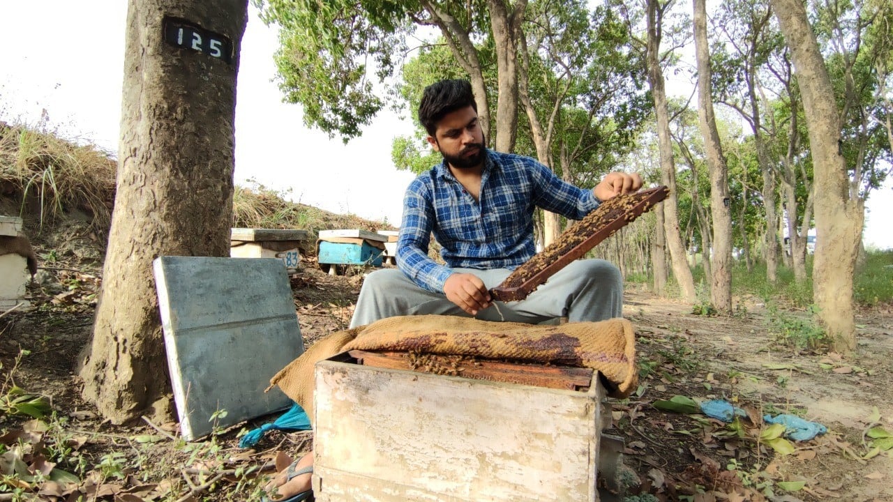 Pawan&#039;s bee farm