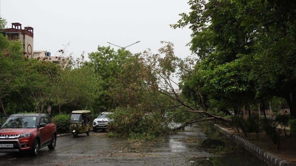 Strong winds uproot trees