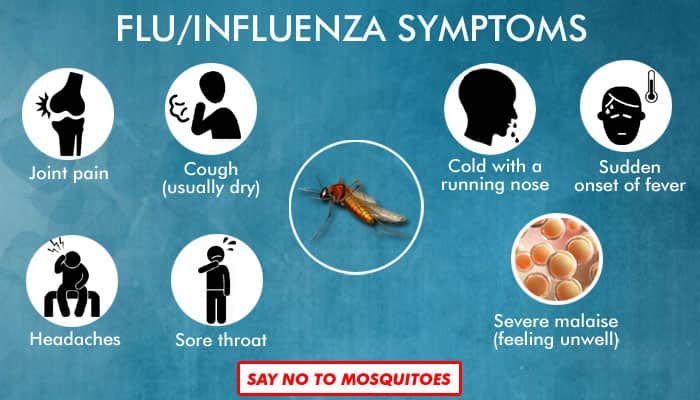 How to fight dengue, malaria, flu and chikungunya – Symptoms ...