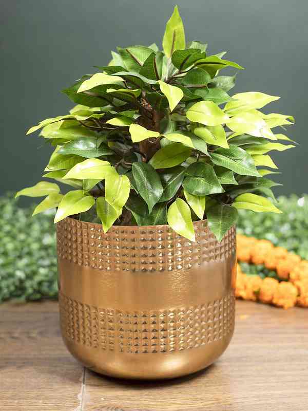  MARKET99 Textured Planter