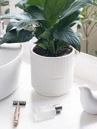  Claymistry White Ceramic Labyrinth Lines: The Textured Flower Pot Planters for Home