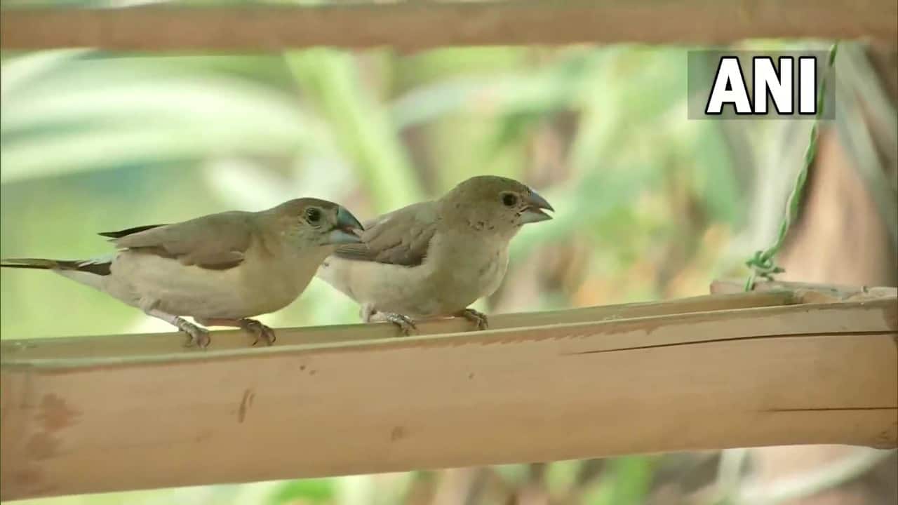 Nagpur bird sanctuary