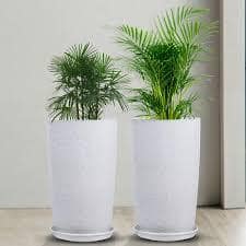  Kuber Industries Marble Emerald White 2 Pieces Planters with Trays