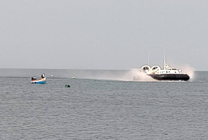 sea cucumber smugglers