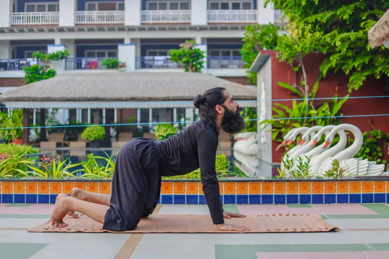 Urdhava-Mukhi-Asana