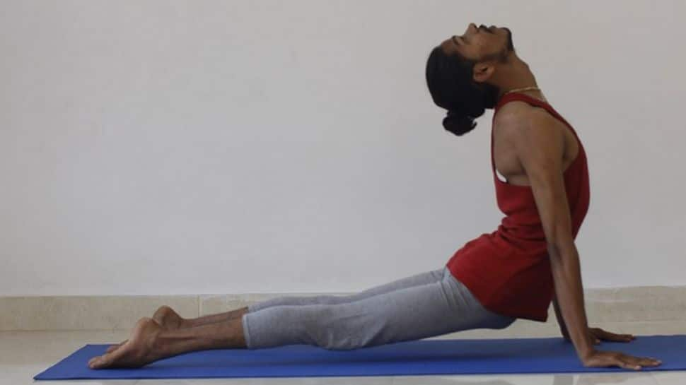 Bhujanga asana