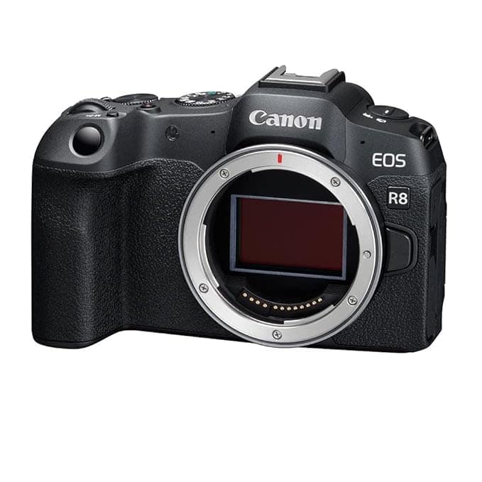 Canon EOS R8 Mirrorless Camera Body (Black)