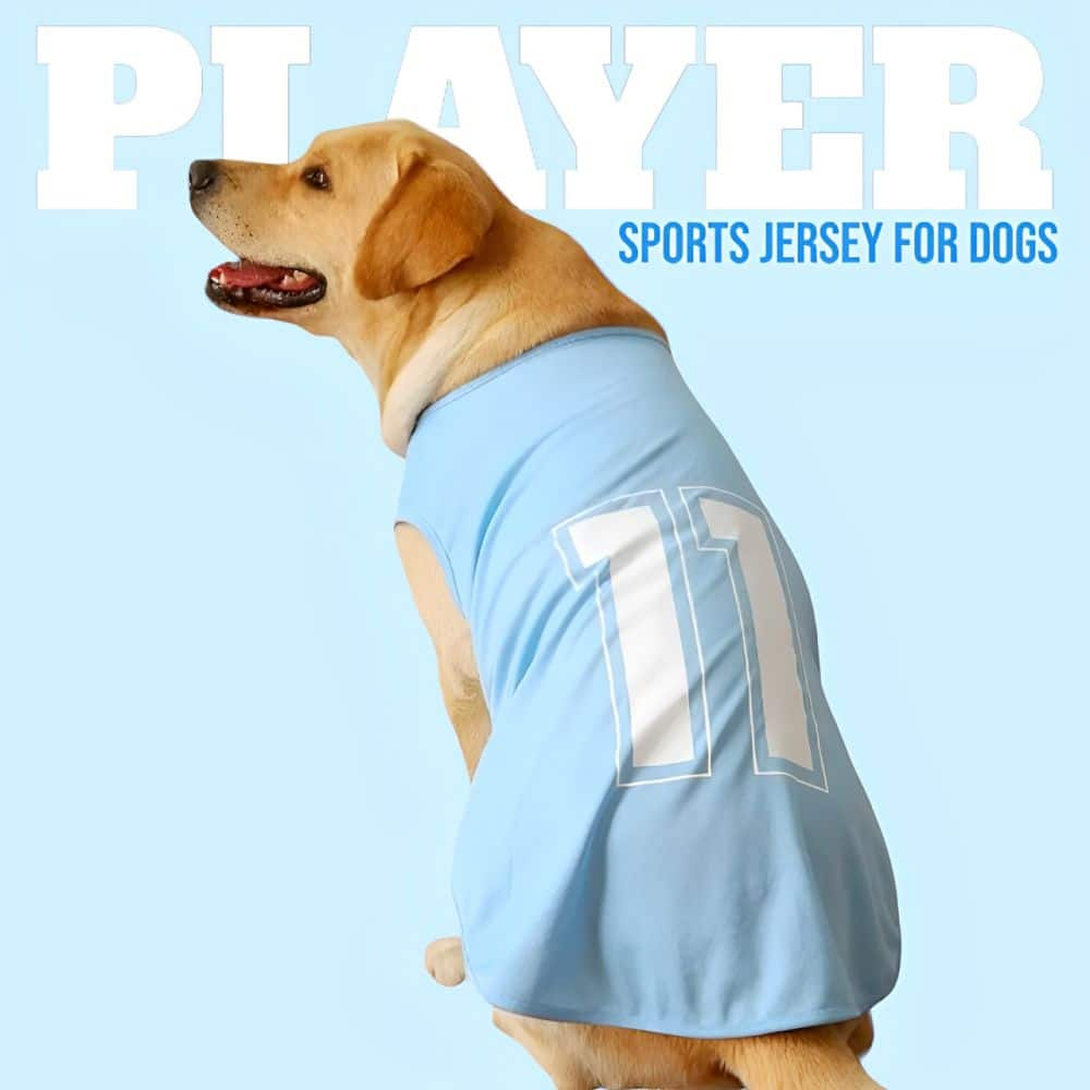 Talking Dog Club Player Ltd Edition Sports T Shirt for Dogs (Blue)