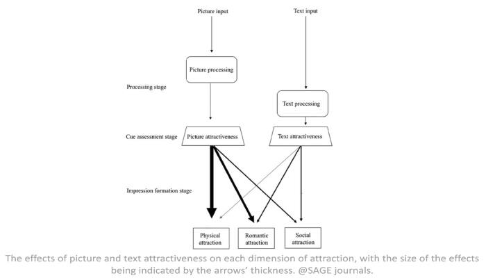 online dating data