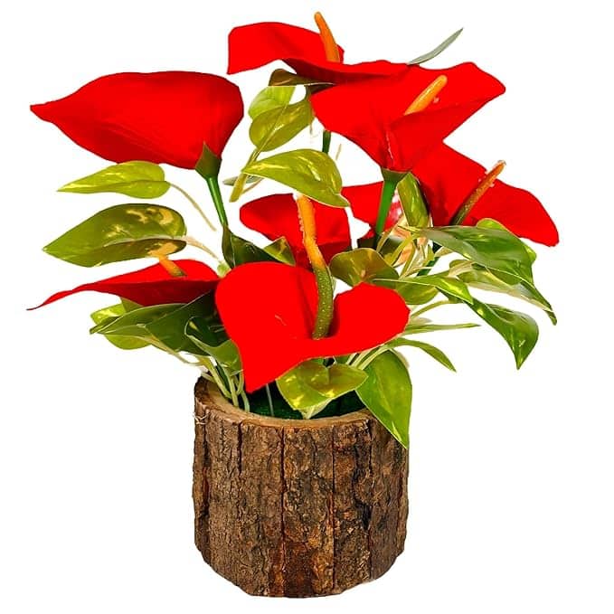 Dekorly Artificial Sunflower, Rose & Anthurium Potted Plant Dekorly Artificial Sunflower, Rose & Anthurium Potted Plant