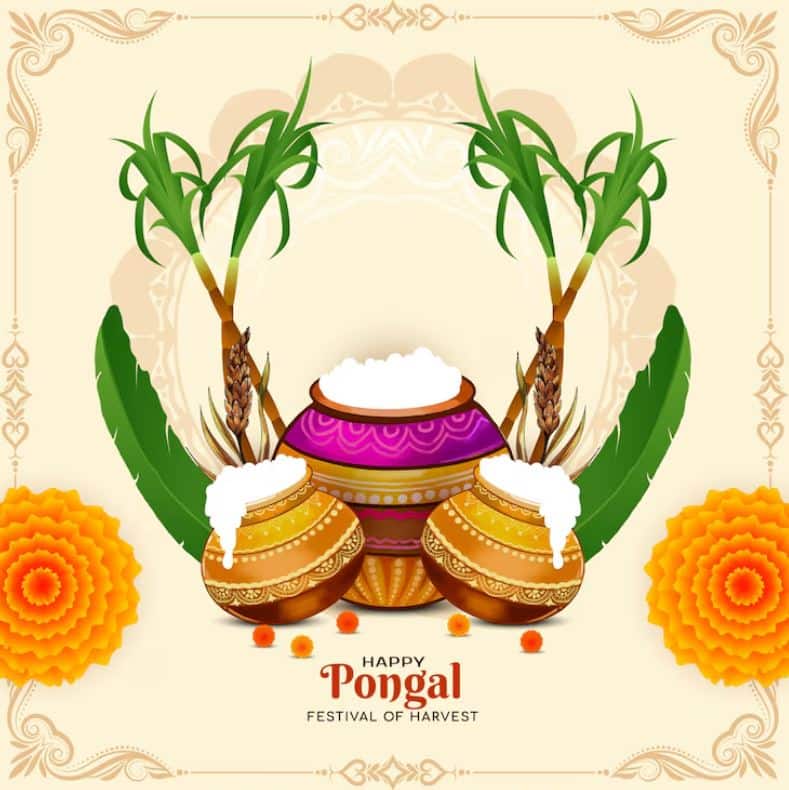 Happy Pongal 2026, Pongal Wishes, Pongal Quotes, Pongal Messages, Pongal Wishes, Thai Pongal 2026, Pongal Images, Harvest Festival Wishes, Tamil Festival 2026, Pongal Festival Messages