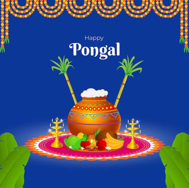 Kaanum Pongal 2026, Happy Kaanum Pongal Wishes, Kaanum Pongal Messages, Pongal 2026 Greetings, Kaanum Pongal Quotes, Pongal Festival Wishes, Telugu Pongal Wishes, Pongal Wishes in English, Kaanum Pongal Images, Harvest Festival Pongal