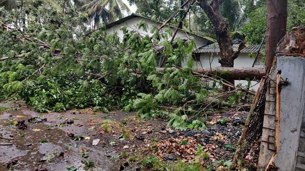 Cyclone NIsarga, IMD