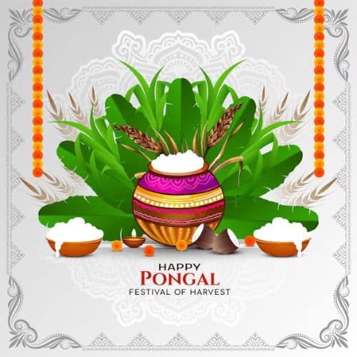 pongalllll