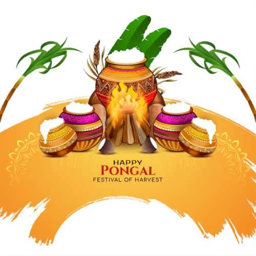 pongalllllllll