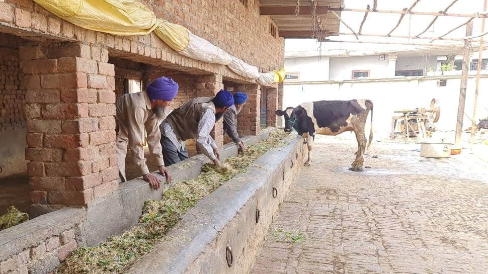 Farmers protest, Punjab farmers