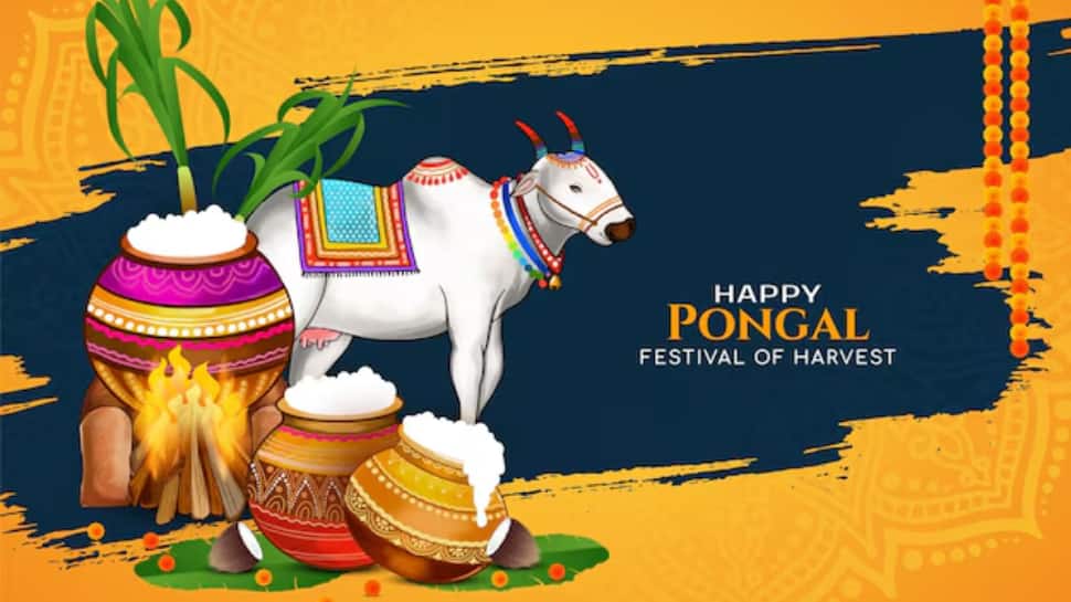 Kaanum Pongal 2026, Happy Kaanum Pongal Wishes, Kaanum Pongal Messages, Pongal 2026 Greetings, Kaanum Pongal Quotes, Pongal Festival Wishes, Telugu Pongal Wishes, Pongal Wishes in English, Kaanum Pongal Images, Harvest Festival Pongal