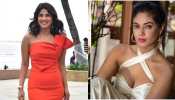 Priyanka Chopra&#039;s cousin confirms actor welcomed baby girl, says &#039;She always wanted to have lots of kids&#039; 