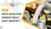 India@75: The impact of the White Revolution on India's dairy industry