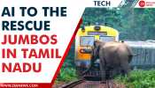 New AI Tech will reduce elephant deaths due to train collisions in Tamil Nadu | Zee English News