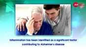 Inflammation a significant factor contributing to Alzheimer's disease: Research