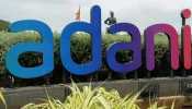 Badhir: Adani Group's stock registered a decline