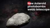 A Colosseum-sized asteroid 