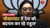Smriti Irani Lashes out at Rahul Gandhi over his controversial remarks