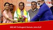 In Big Blow To BRS, Nagarkurnool MP Pothuganti Ramulu Joins BJP Ahead Of 2024 Polls